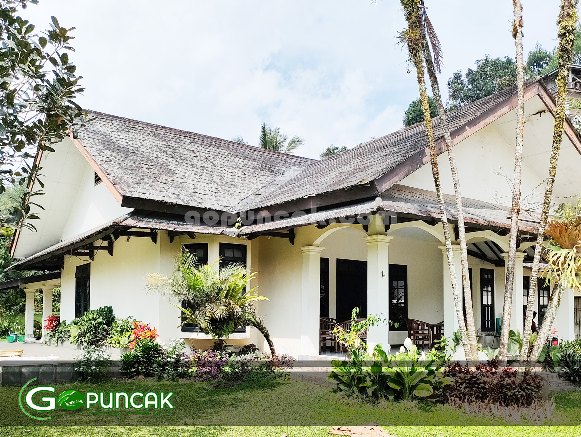 Sewa Villa VILLA PUNCAK - Villa 33